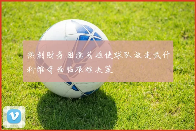 热刺财务困境或迫使球队放走武什科维奇面临艰难决策