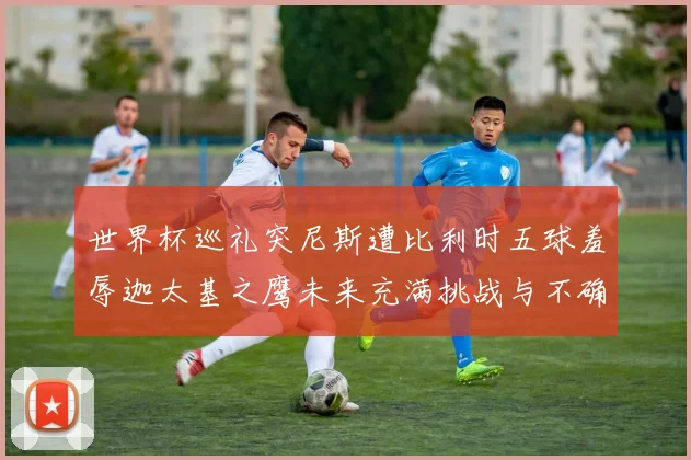世界杯巡礼突尼斯遭比利时五球羞辱迦太基之鹰未来充满挑战与不确定性